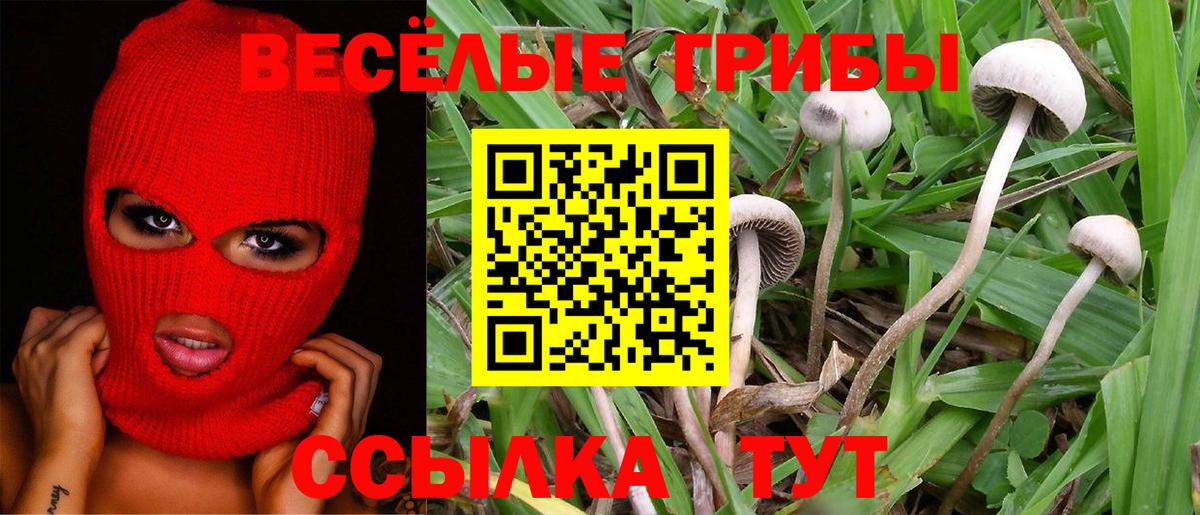 Галлюциногенные грибы Magic Shrooms  Псилоцибиновые грибы GOLDEN TEACHER  Вход с VPN  Гулькевичи 