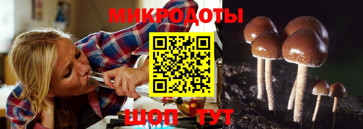 Галлюциногенные грибы Psilocybe Гулькевичи
