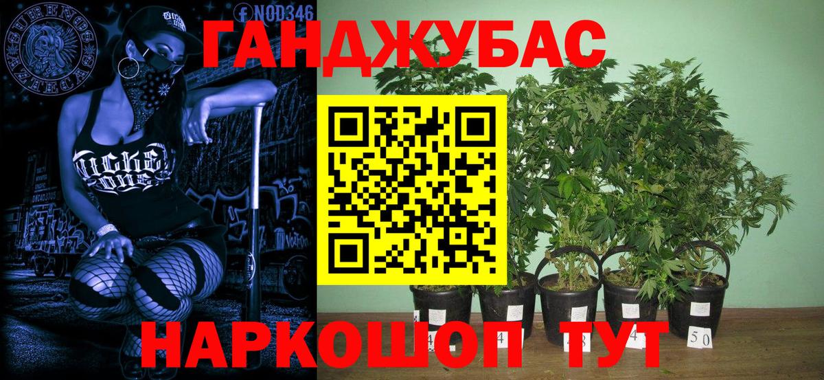 Конопля семена  Вход с VPN  Шишки марихуана Bruce Banner  Бошки Шишки конопля  Бошки марихуана конопля  Гулькевичи 